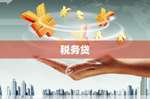 扶绥税务贷
