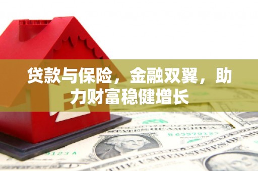 扶绥贷款与保险，金融双翼，助力财富稳健增长