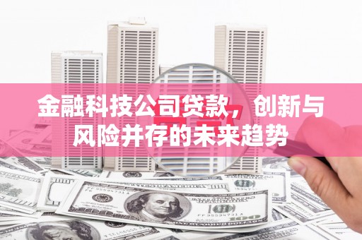 扶绥金融科技公司贷款，创新与风险并存的未来趋势