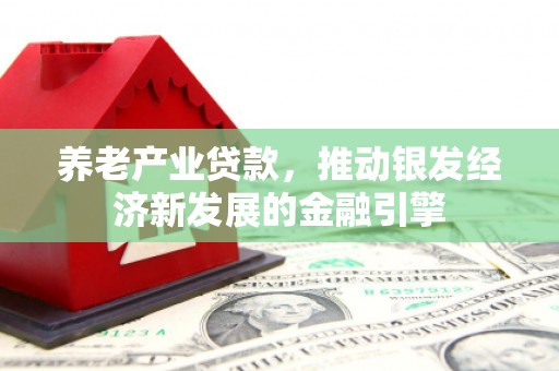 扶绥养老产业贷款，推动银发经济新发展的金融引擎