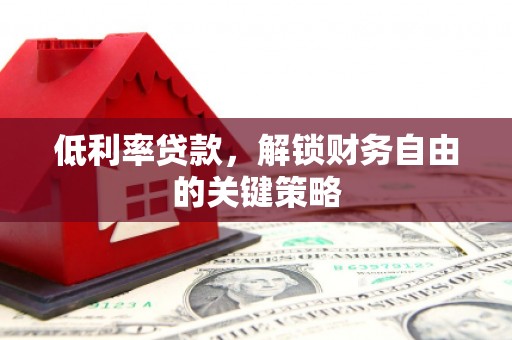 扶绥低利率贷款，解锁财务自由的关键策略