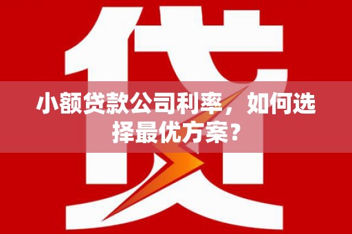 扶绥小额贷款公司利率，如何选择最优方案？