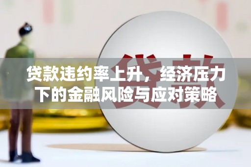 扶绥贷款违约率上升，经济压力下的金融风险与应对策略