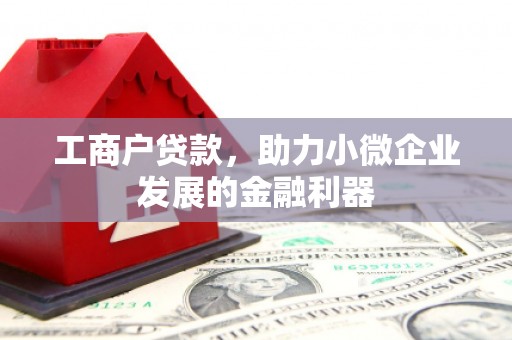 扶绥工商户贷款，助力小微企业发展的金融利器