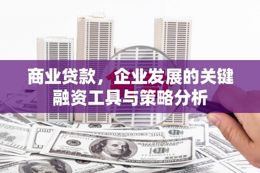 扶绥商业贷款，企业发展的关键融资工具与策略分析