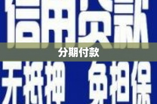 扶绥分期付款
