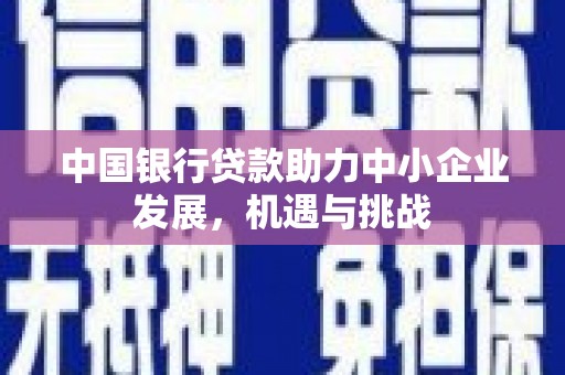 扶绥中国银行贷款助力中小企业发展，机遇与挑战