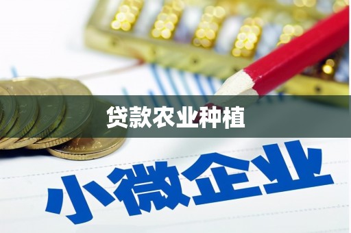 扶绥贷款农业种植