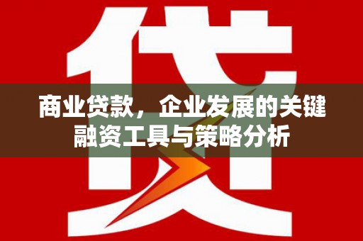 扶绥商业贷款，企业发展的关键融资工具与策略分析