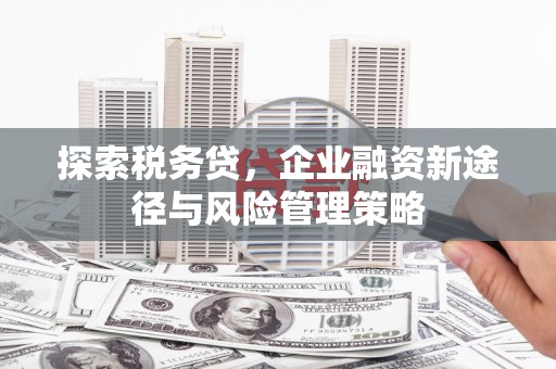 扶绥探索税务贷，企业融资新途径与风险管理策略
