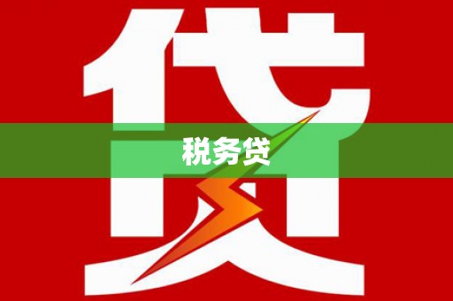 扶绥税务贷