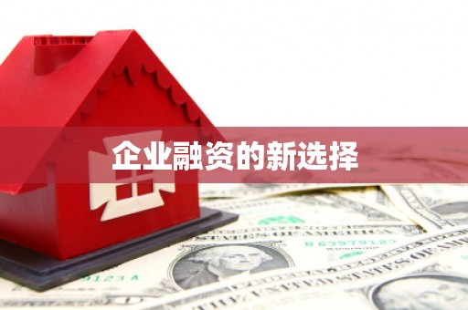 扶绥企业融资的新选择