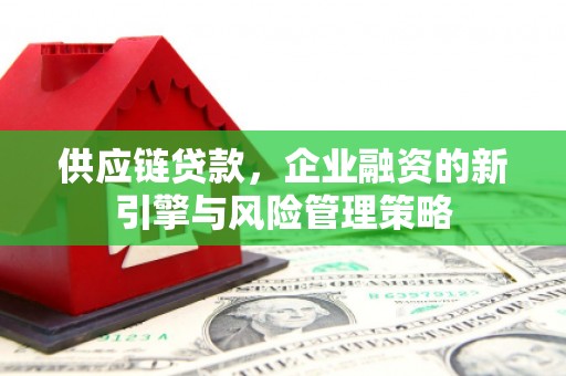 扶绥供应链贷款，企业融资的新引擎与风险管理策略