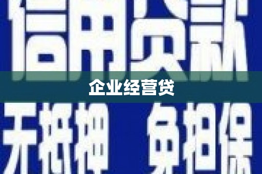 扶绥企业经营贷
