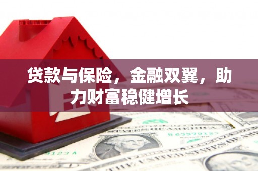扶绥贷款与保险，金融双翼，助力财富稳健增长