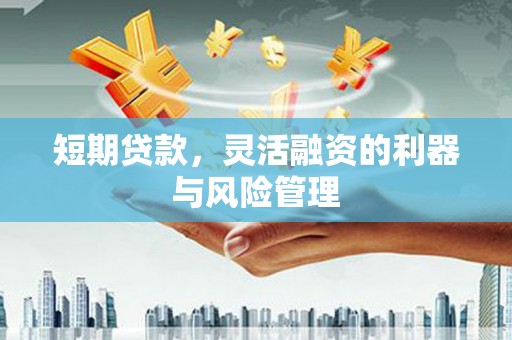 扶绥短期贷款，灵活融资的利器与风险管理