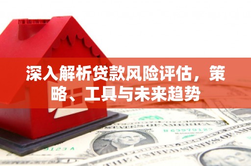 扶绥深入解析贷款风险评估，策略、工具与未来趋势