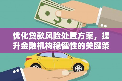 扶绥优化贷款风险处置方案，提升金融机构稳健性的关键策略
