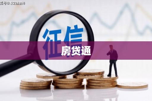 扶绥房贷通