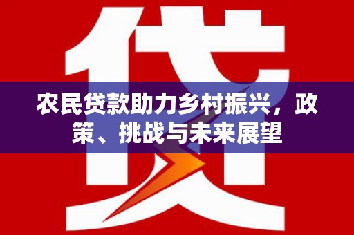 扶绥农民贷款助力乡村振兴，政策、挑战与未来展望