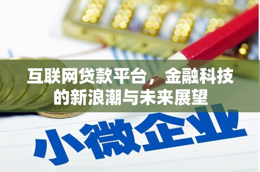 扶绥互联网贷款平台，金融科技的新浪潮与未来展望