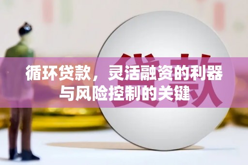 扶绥循环贷款，灵活融资的利器与风险控制的关键