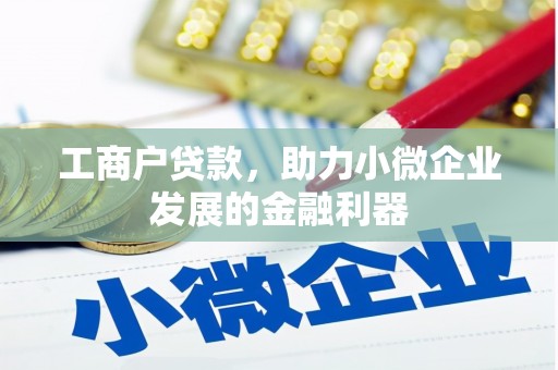 扶绥工商户贷款，助力小微企业发展的金融利器