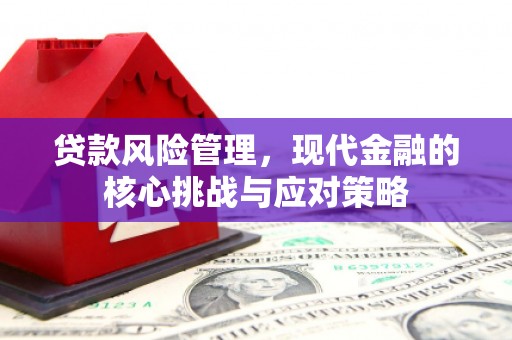 扶绥贷款风险管理，现代金融的核心挑战与应对策略