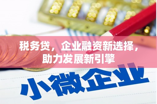 扶绥税务贷，企业融资新选择，助力发展新引擎