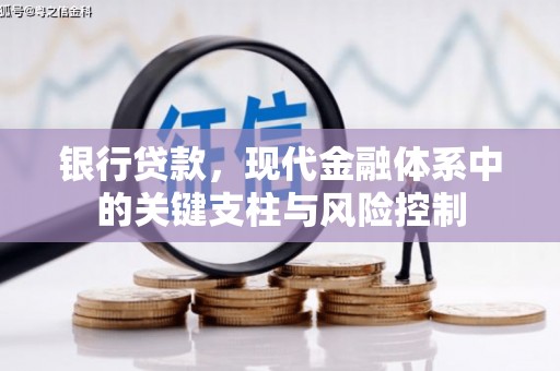 扶绥银行贷款，现代金融体系中的关键支柱与风险控制