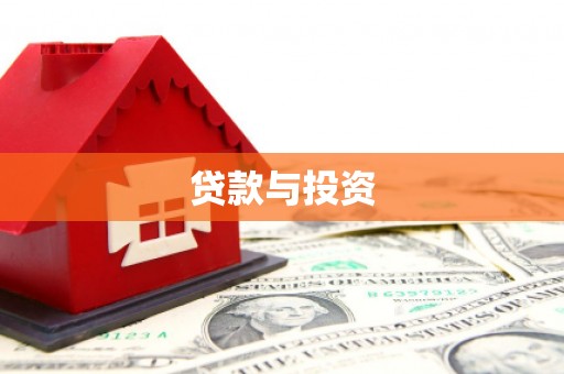 扶绥贷款与投资