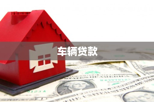 扶绥车辆贷款