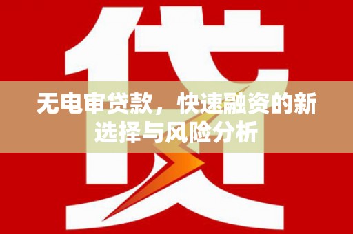 扶绥无电审贷款，快速融资的新选择与风险分析