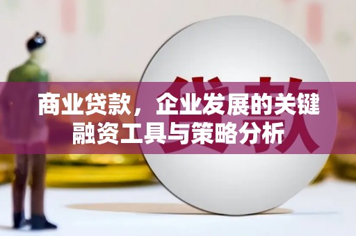 扶绥商业贷款，企业发展的关键融资工具与策略分析