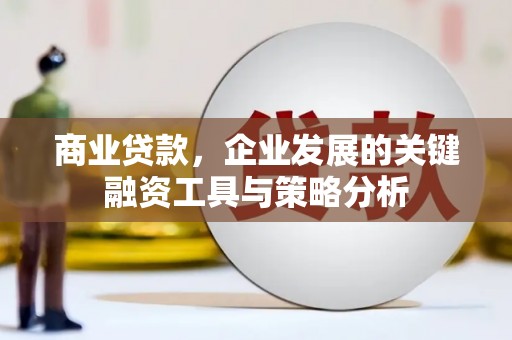 扶绥商业贷款，企业发展的关键融资工具与策略分析