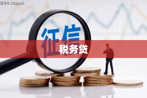 扶绥税务贷