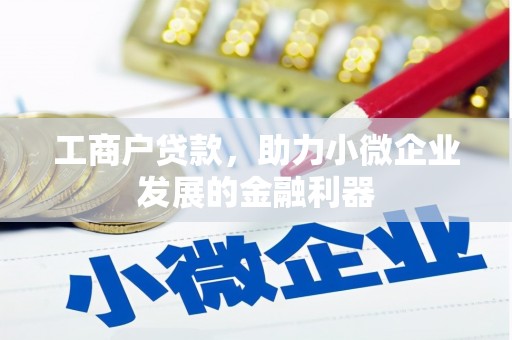 扶绥工商户贷款，助力小微企业发展的金融利器