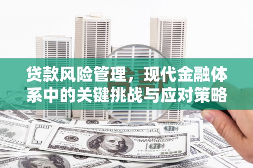 扶绥贷款风险管理，现代金融体系中的关键挑战与应对策略