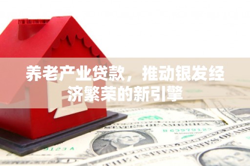 扶绥养老产业贷款，推动银发经济繁荣的新引擎