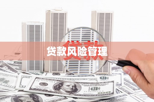 扶绥贷款风险管理
