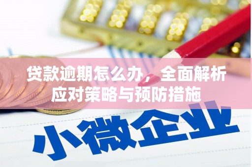扶绥贷款逾期怎么办，全面解析应对策略与预防措施