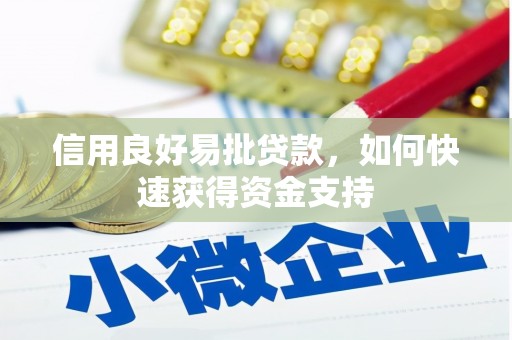 扶绥信用良好易批贷款，如何快速获得资金支持