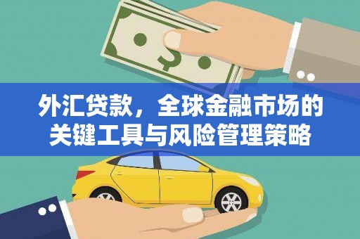 扶绥外汇贷款，全球金融市场的关键工具与风险管理策略
