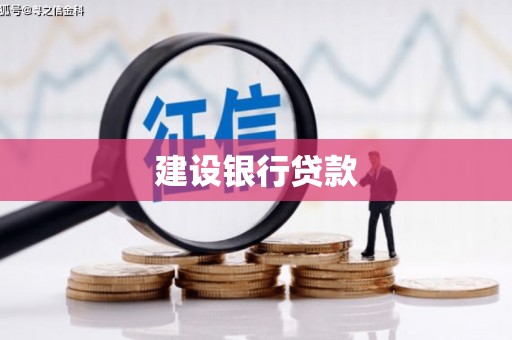 扶绥建设银行贷款