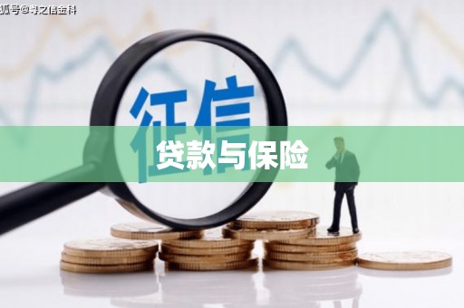 扶绥贷款与保险