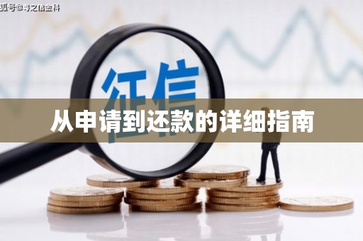 扶绥从申请到还款的详细指南