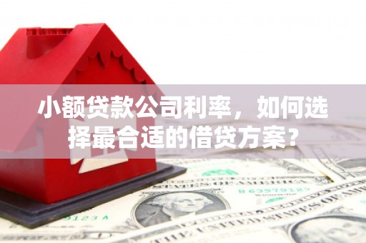 扶绥小额贷款公司利率，如何选择最合适的借贷方案？