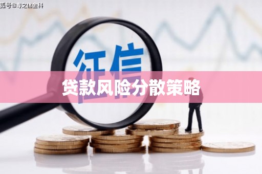 扶绥贷款风险分散策略