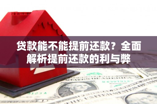 扶绥贷款能不能提前还款？全面解析提前还款的利与弊