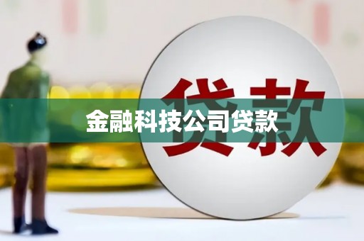 扶绥金融科技公司贷款